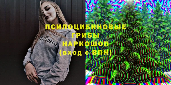 шишки Богородицк